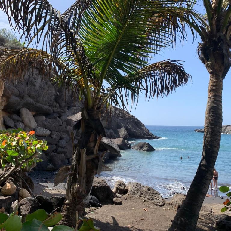 Premium Paradise Stay - Balcony Sea & Pool Views - Top Rated - Apartamento de 2 dormitorios - 35