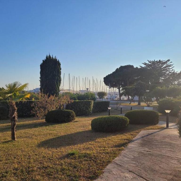 Spacieux rez de jardin vue sur port de plaisance - Appartement 1 Chambre - 6