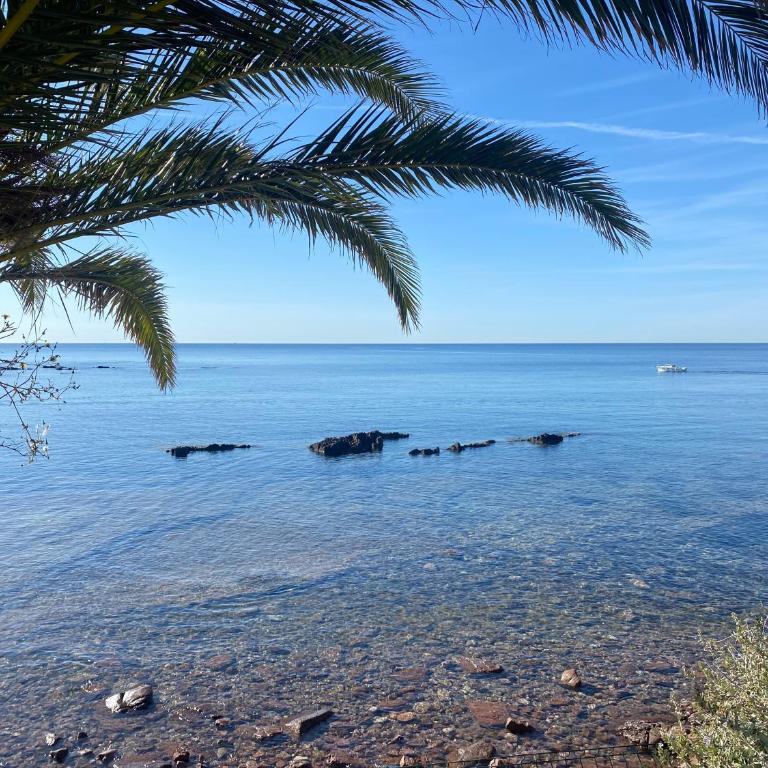 T2 à 50 mètres de la mer, belle vue sur végétation - Apartment mit 1 Schlafzimmer - 13