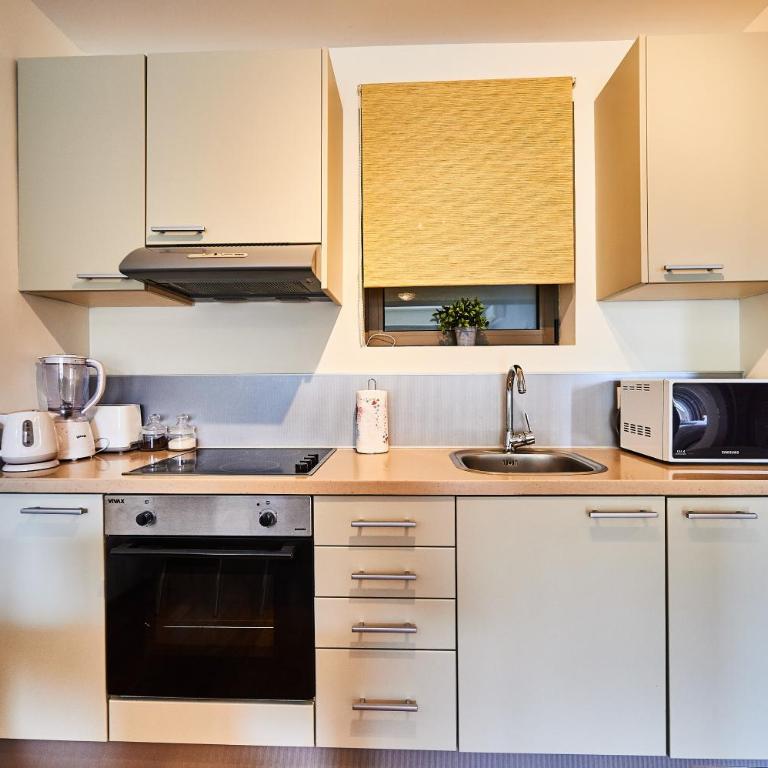 Luxury Apartment Przno Milocer - One-Bedroom Apartment - 9