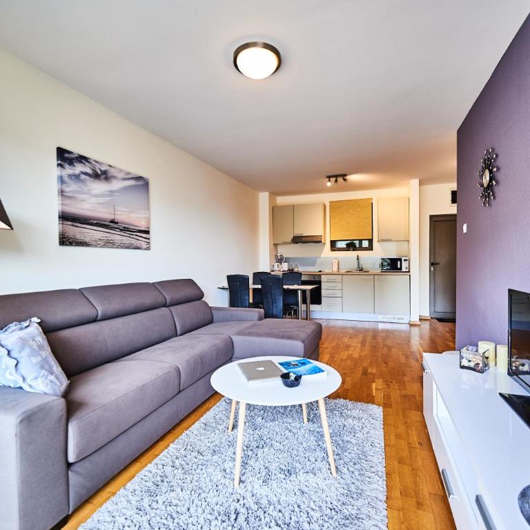Luxury Apartment Przno Milocer - One-Bedroom Apartment - 4