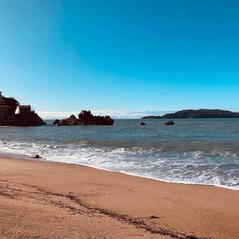 Luxury Apartment Przno Milocer - One-Bedroom Apartment - 19