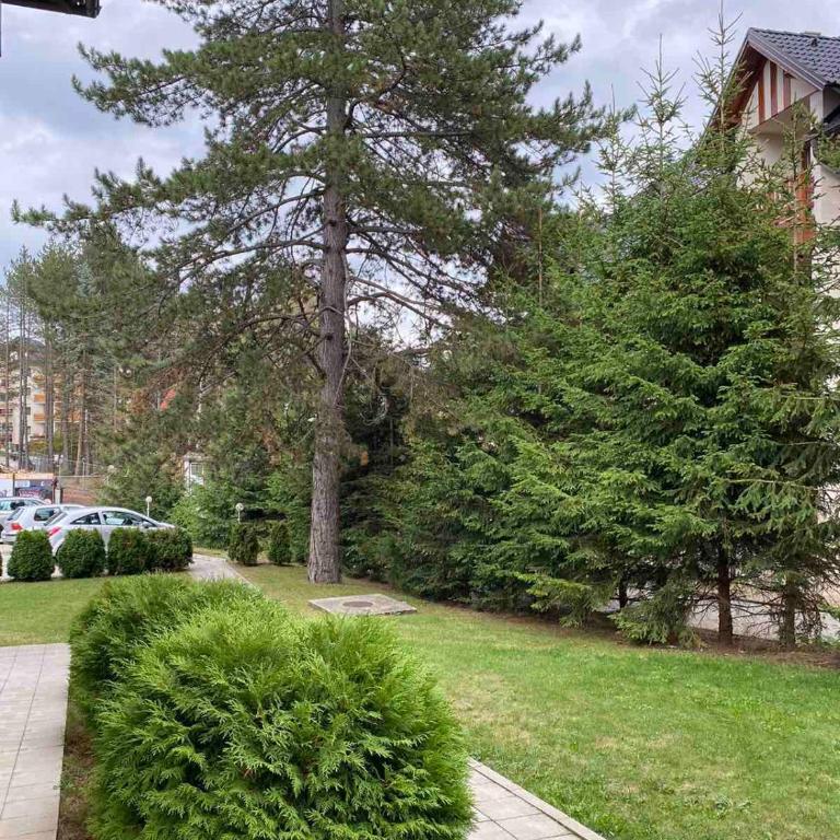 Apartman Studio 10 - Apartman sa 1 Spavaćom Sobom - 2