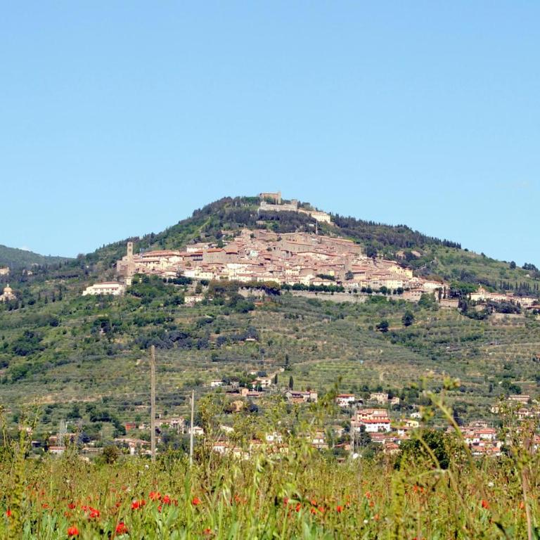 Beautiful Home In Cortona - Casa Vacanze con 3 Camere da Letto - 29