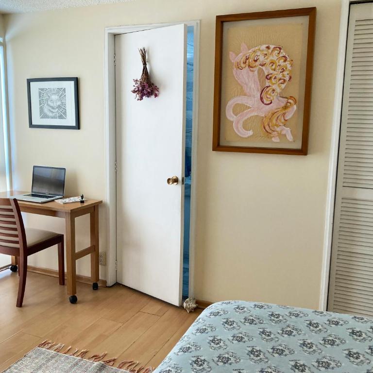Amplia habitación con baño privado en Coyoacán - Habitación Individual con baño privado - 1