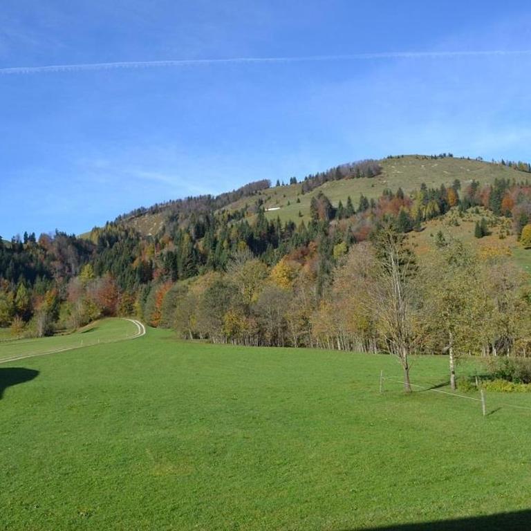 Ferienwohnungen Foidlhof - Apartment mit 3 Schlafzimmern und Dusche - 3