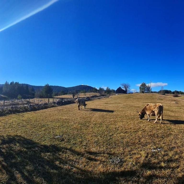 Gorska Vila - Two-Bedroom House - 69