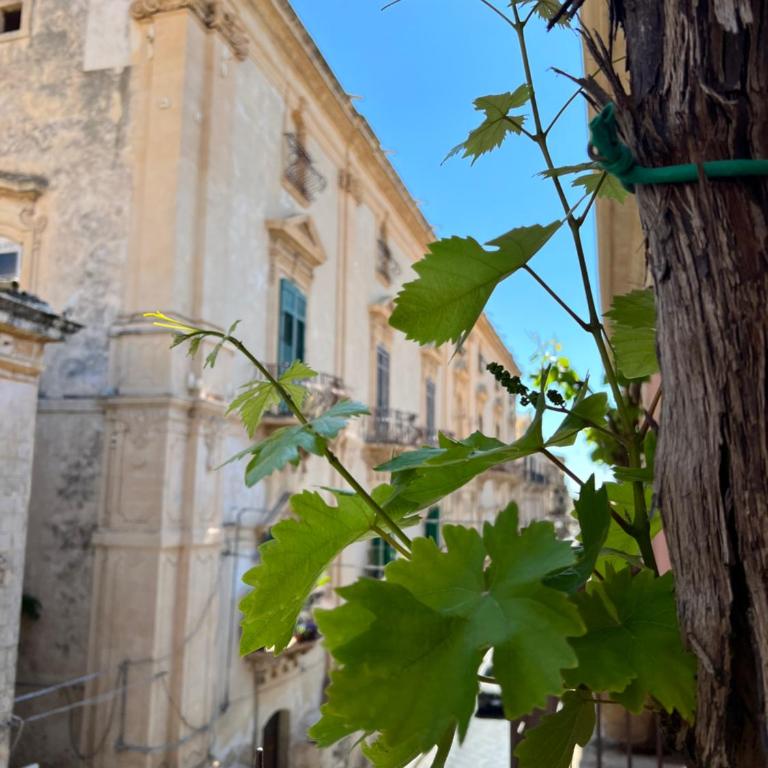 Casa Modica - Luxury rooms - Camera King Deluxe - 3