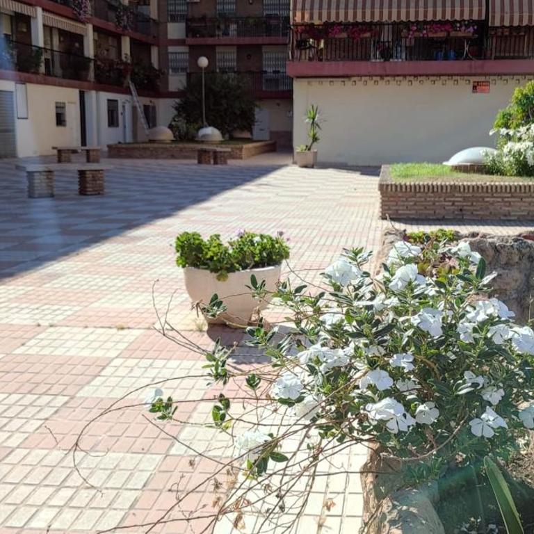 Loft A la verita River,PARKING PRIVADO GRATIS - Apartamento - Planta baja - 57