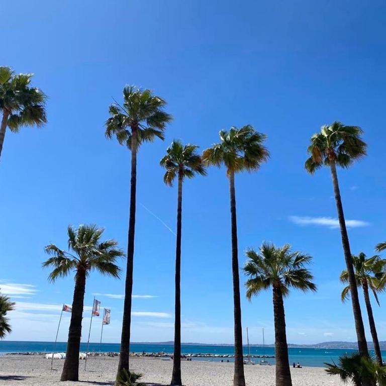 Appartement sur la Plage, Le Royal Beach - Appartement - Vue sur Mer - 12