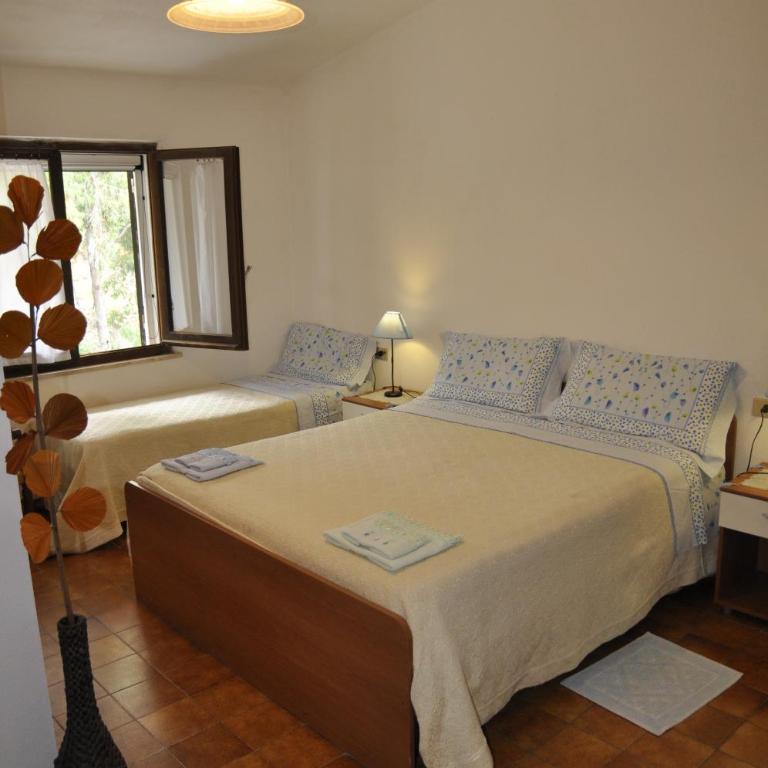 Bed & Breakfast Agriturismo San Macario - Camera Tripla - 1