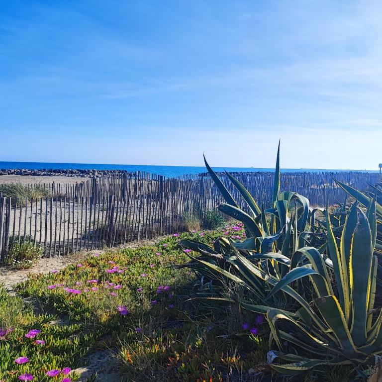 La Perle Bleue, 100 m de la plage, parking, wifi - Appartement - Vue sur Mer - 20