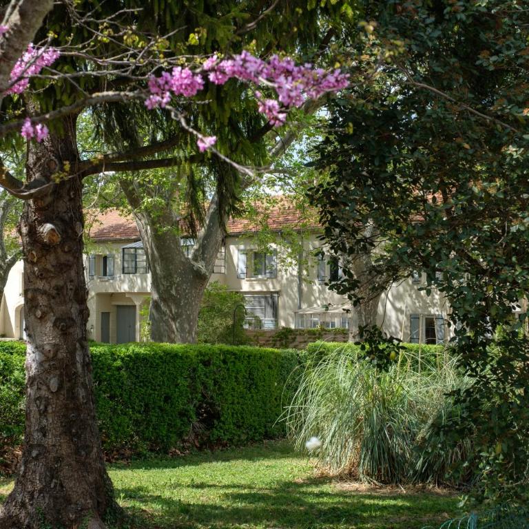 Mas 9 Romanin - Mas Provençal Familial - Maison 5 Chambres - 21