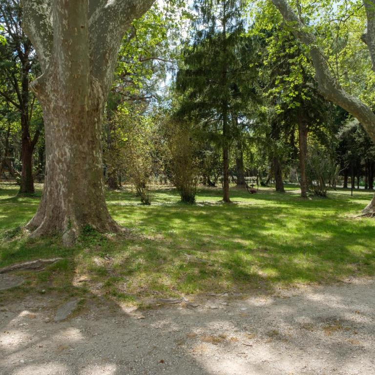 Mas 9 Romanin - Mas Provençal Familial - Maison 5 Chambres - 41