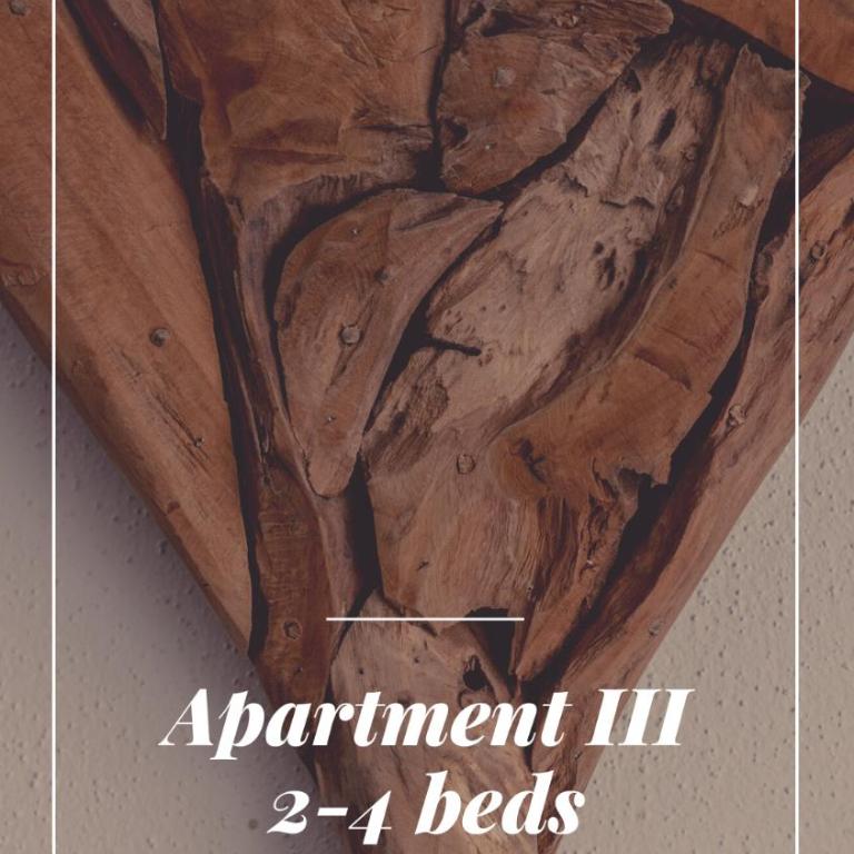 Piekvier lodge - Apartment - Erdgeschoss - 7
