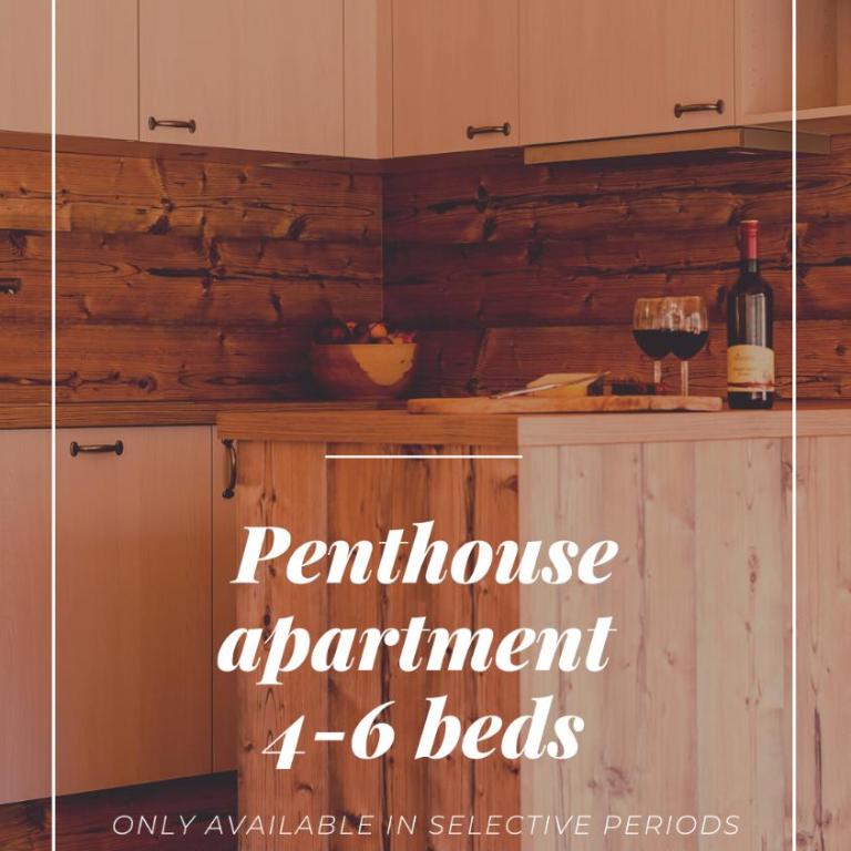 Piekvier lodge - Penthouse-Apartment - 4