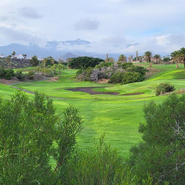 Golf del Sur Park Albatros - Apartamento con vistas al jardín - 20
