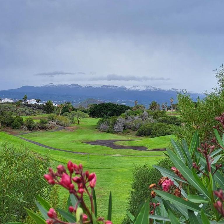 Golf del Sur Park Albatros - Apartamento con vistas al jardín - 23