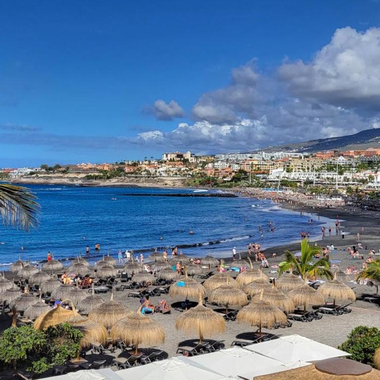 Golf del Sur Park Albatros - Apartamento con vistas al jardín - 22