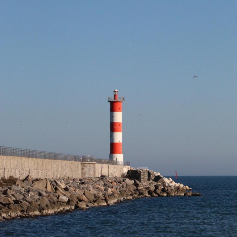 Chaleureux studio en bord de mer - Appartement 1 Chambre - 8