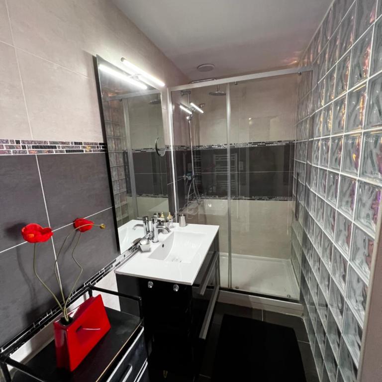 Cap d’Agde, Village naturiste, port nature 5, coursive - One-Bedroom Apartment - 9