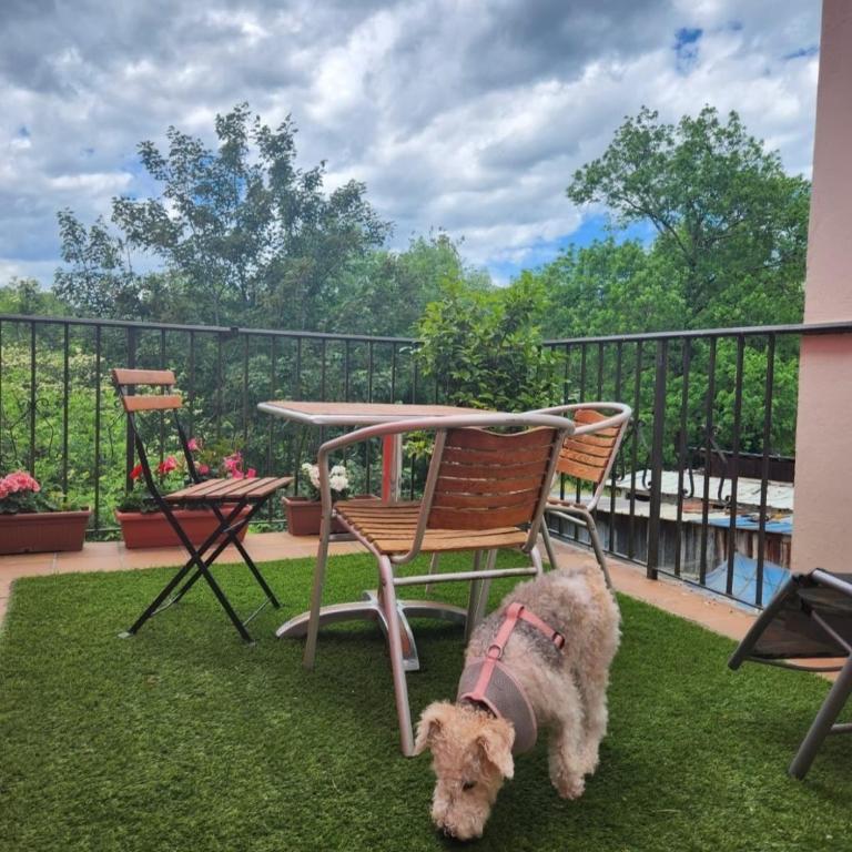 Apartamento Rural Lago Enol - Apartamento de 3 dormitorios - 2