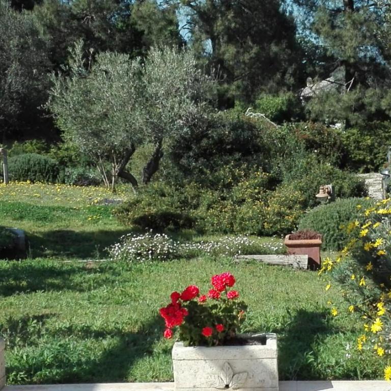 CASA NEL VERDE CON GIARDINO E PISCINA PRIVATA - Villa con Piscina Privata - 32