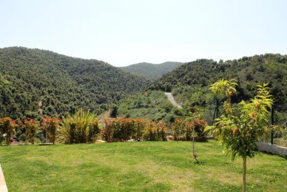 Villa Rosa - Casa Vacacional de 3 dormitorios - 21