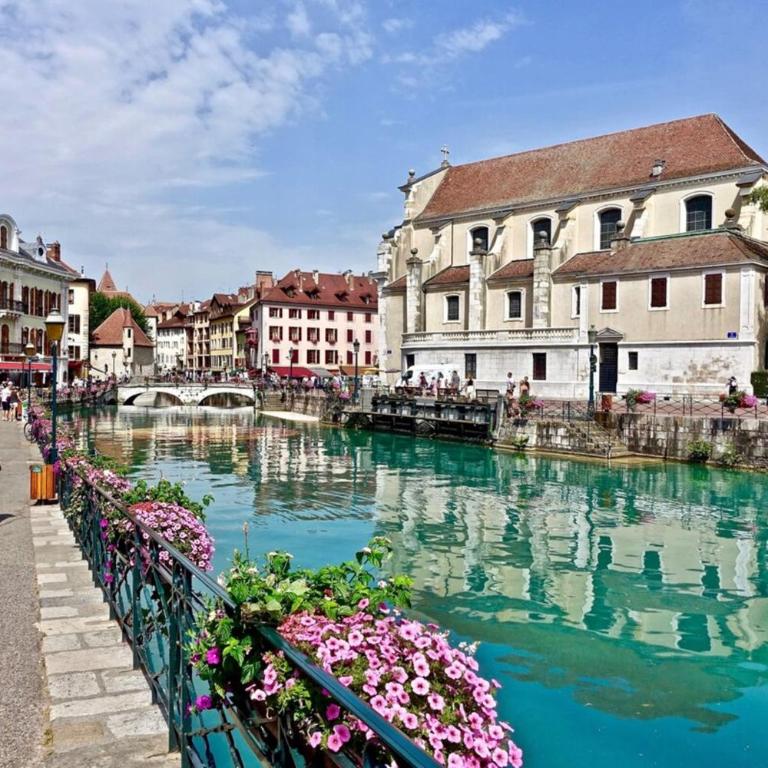 APPALACHES Annecy Rent Lodge - Appartement - 15