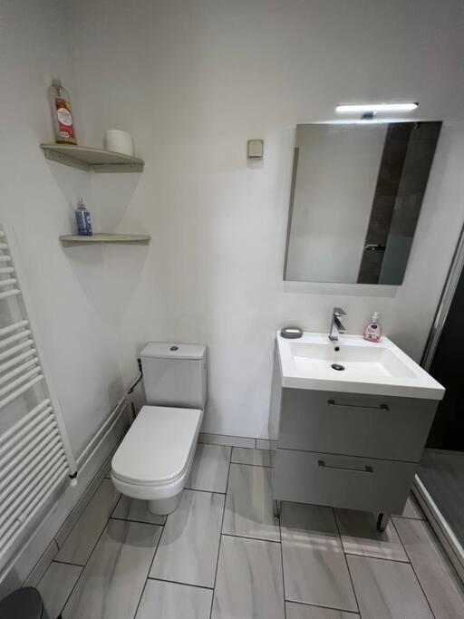 Belle maison quartier Henriville, proche centre - Appartement 1 Chambre - 6