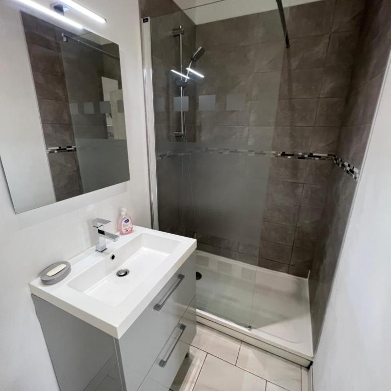 Belle maison quartier Henriville, proche centre - Appartement 1 Chambre - 21