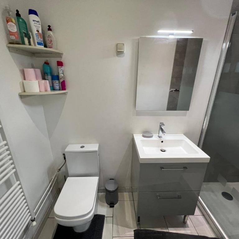 Belle maison quartier Henriville, proche centre - Appartement 1 Chambre - 38
