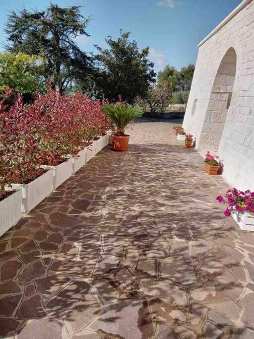 Trullo in vigna - Casa con 3 Camere da Letto - 35
