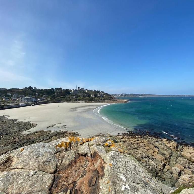 Grand studio 43m2 port de Perros Guirec - Studio - 10