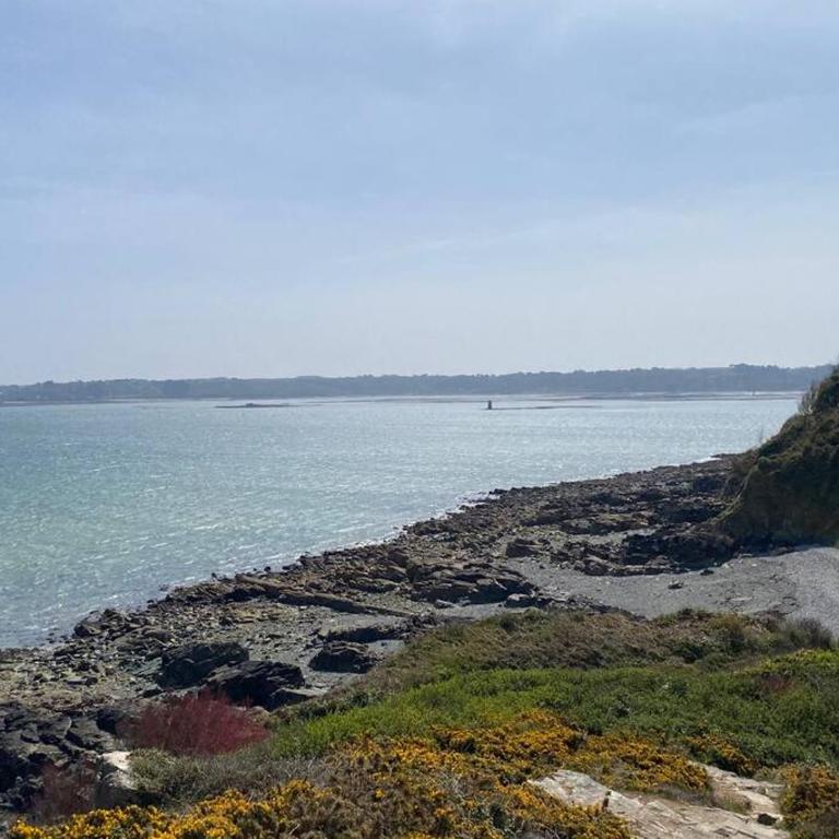 Grand studio 43m2 port de Perros Guirec - Studio - 8