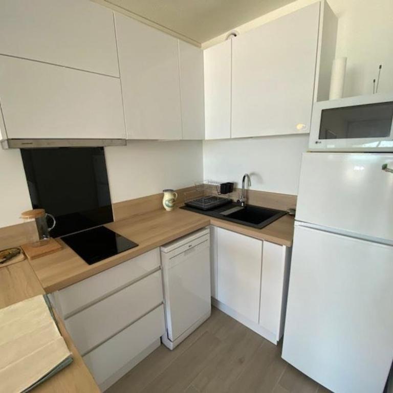 Studio pied dans l'eau, grand frigo, lave-vaisselle, lave-linge, parking privé - FR-1-326-787 - Studio - 5