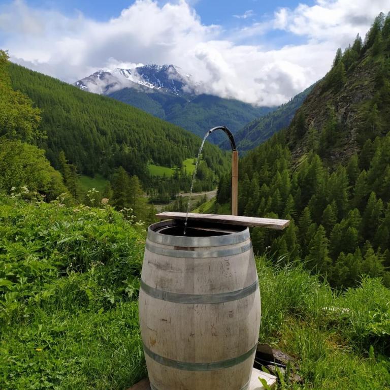 Les Hauts du Roux - Appartement - 14