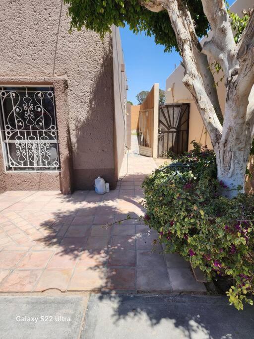 Guest house 2 mins from da beach - Casa con 1 dormitorio - 14