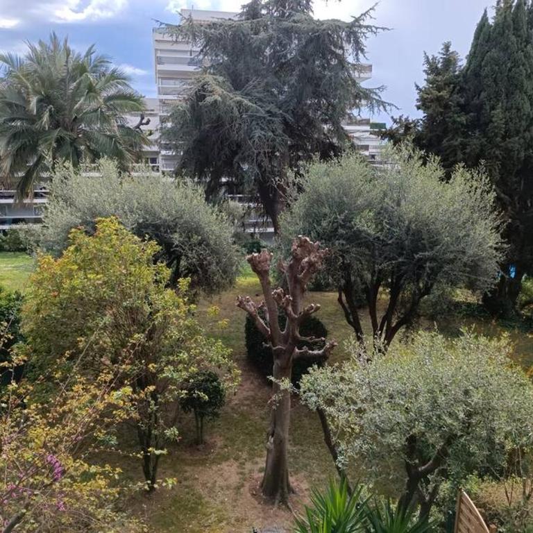 SELI 2 pièces CLIMATISÉ CLASSÉ 52 M2 terrasse 20m2 PLAGES PISCINE ANTIBES avec PARKING PRIVATIF - One-Bedroom Apartment - 42