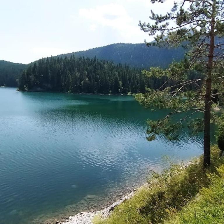 Melanija - Two-Bedroom House - 75
