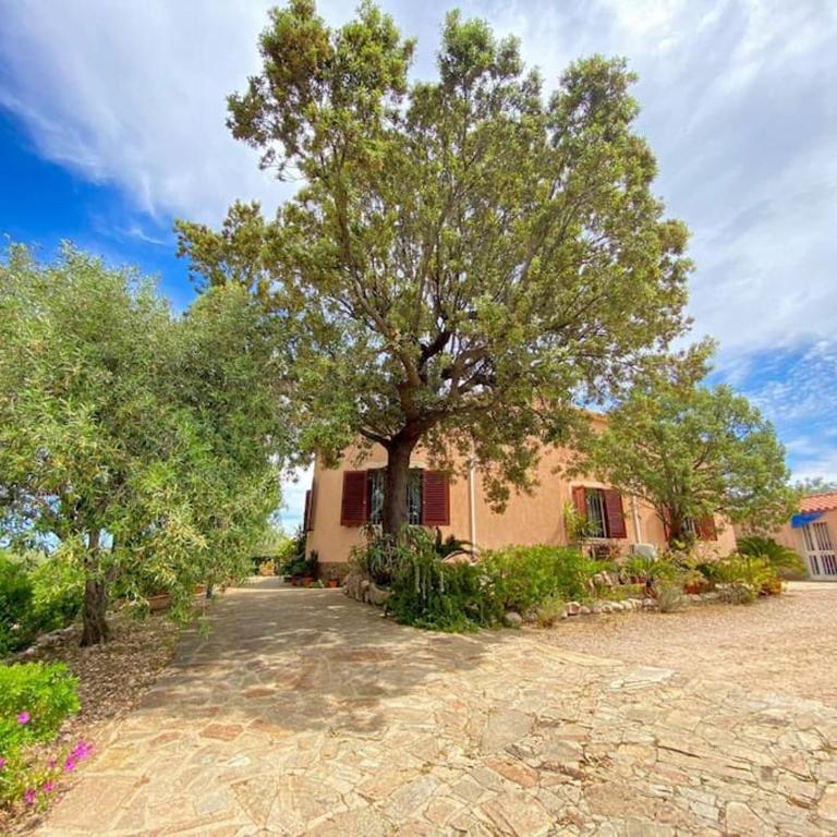 Villa Fiorita - Three-Bedroom Apartment - 1
