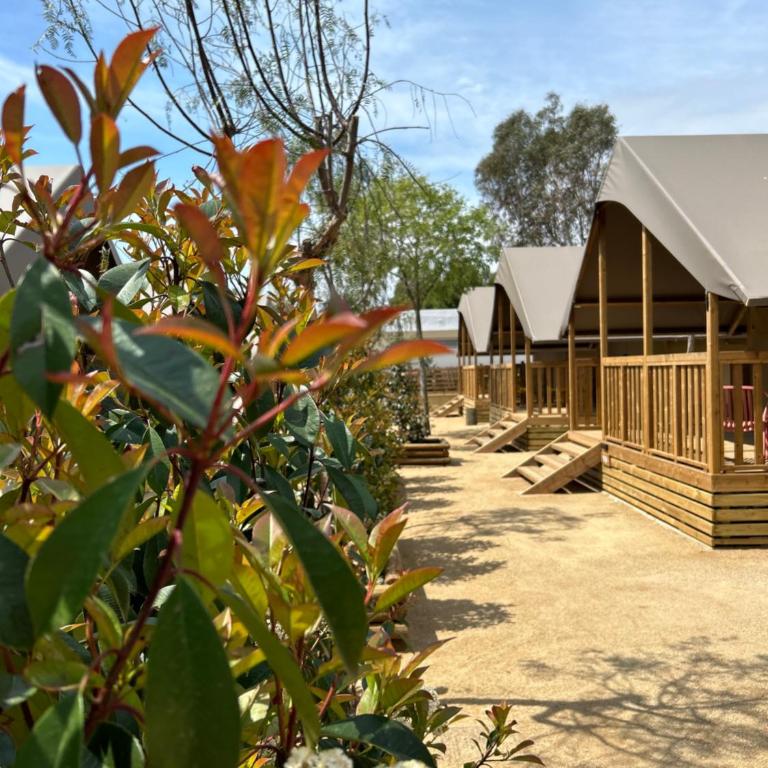 Camping Rodas - Tienda - 6