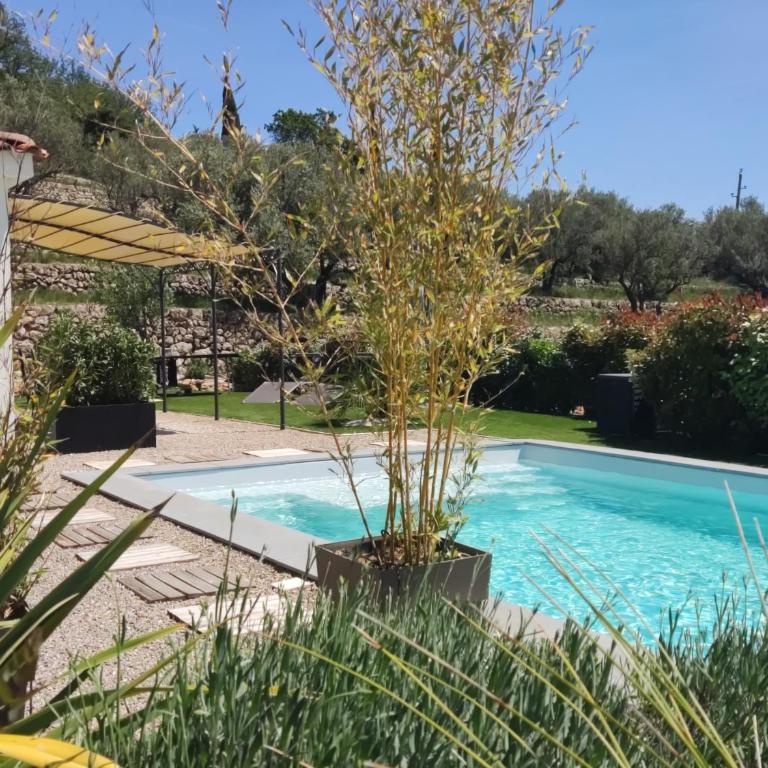 Villa Maya Blanca entre côte d́́́ Azur et gorges du Verdon et recharge voiture électrique - Studio - Vue sur Piscine - 1