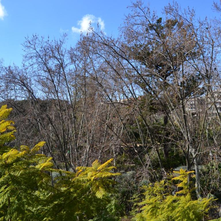 La maison de Lavinia - Appartamento con 2 Camere da Letto - 27