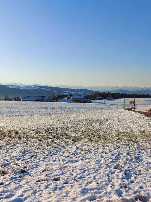 Schmuckstück im Allgäu - Appartamento con 1 Camera da Letto - 27