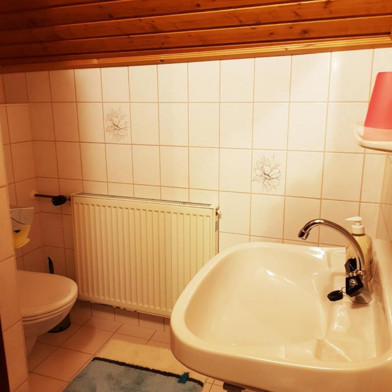 Bergbauernhof Rebernig - Apartment mit Dusche - 10