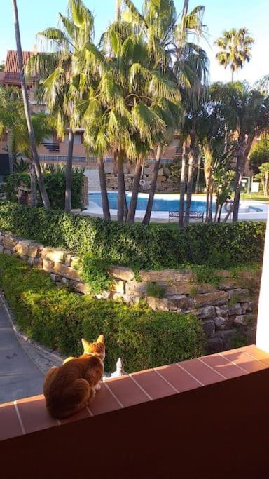 Planta baja cerca de la playa Casares Costa - Apartamento de 2 dormitorios - 3