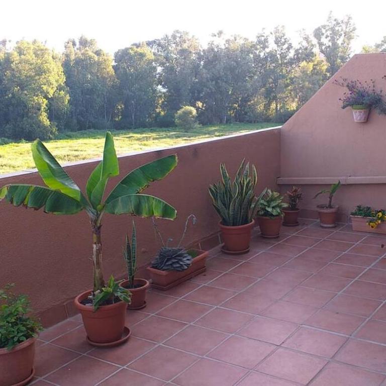Planta baja cerca de la playa Casares Costa - Apartamento de 2 dormitorios - 5