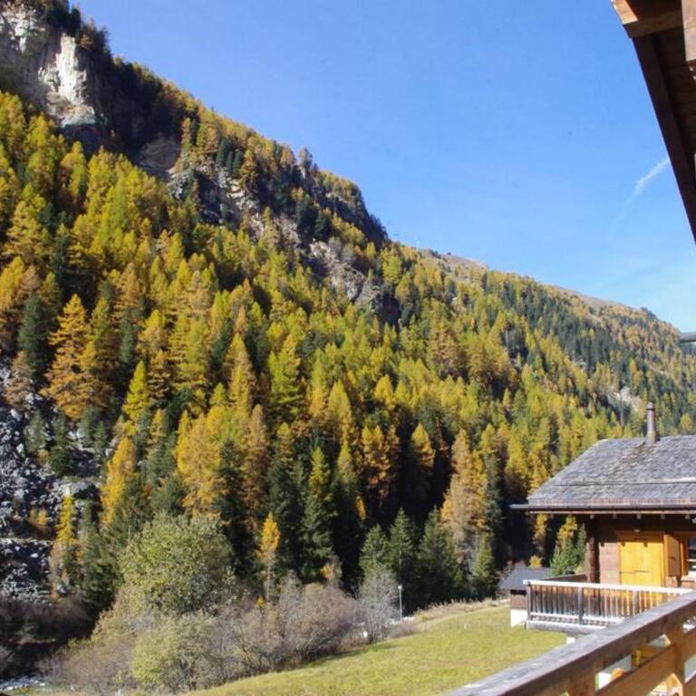 Chalet Mille Étoiles - Apartment - 21