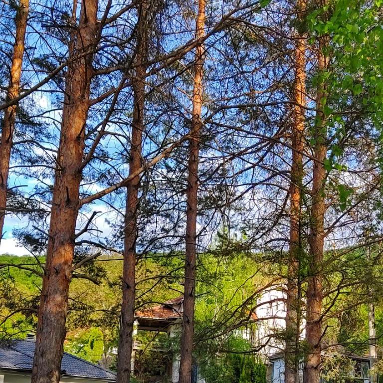 Apartman Borići - Apartman sa 3 Spavaće Sobe - 22